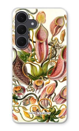 Haeckel Nepenthaceae