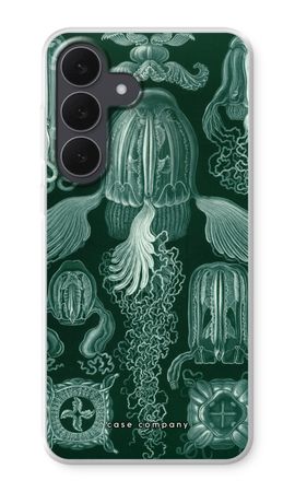 Haeckel Cubomedusae