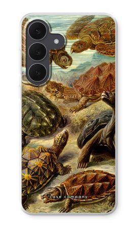 Haeckel Chelonia