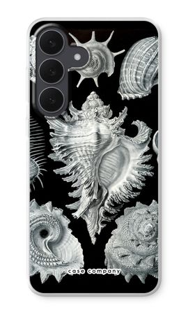 Haeckel Prosobranchia
