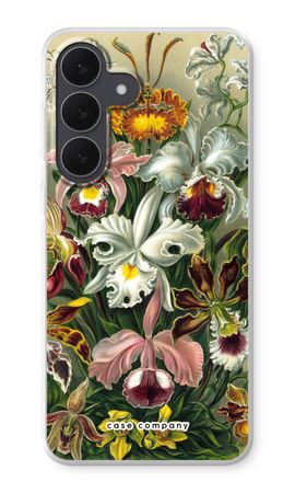 Haeckel Orchidae