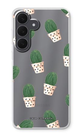 Cactus rose