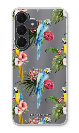 Colourful parrots