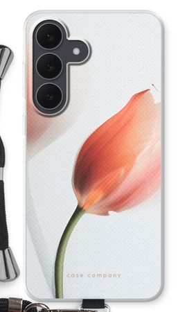 Tulip