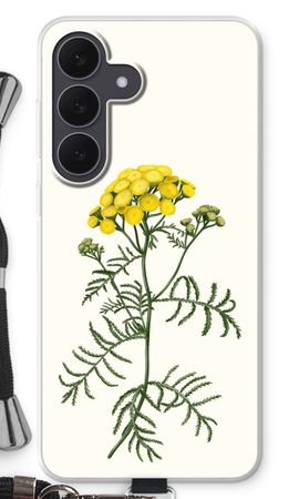 Tansy
