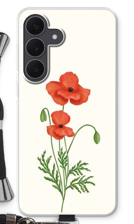 Red poppy