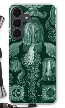 Haeckel Cubomedusae
