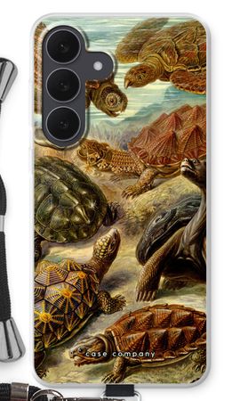 Haeckel Chelonia
