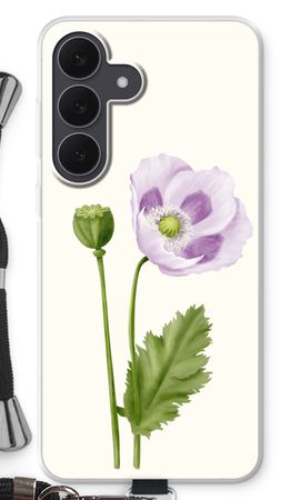 Purple poppy