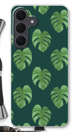 Monstera leaves
