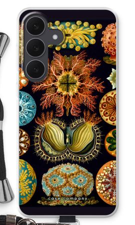 Haeckel Ascidiae