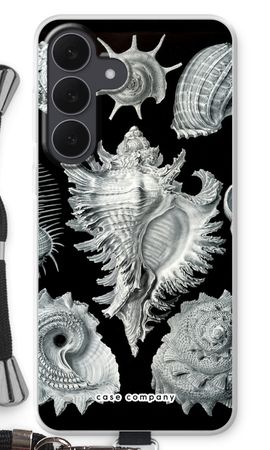 Haeckel Prosobranchia