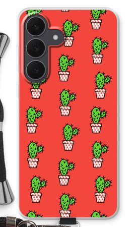 Mini cactus