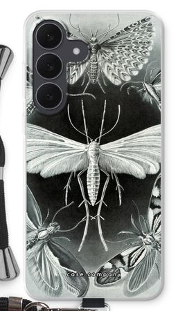 Haeckel Tineida