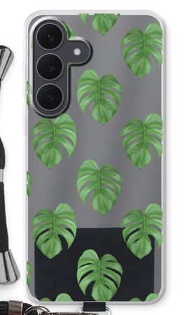 Monstera leaves
