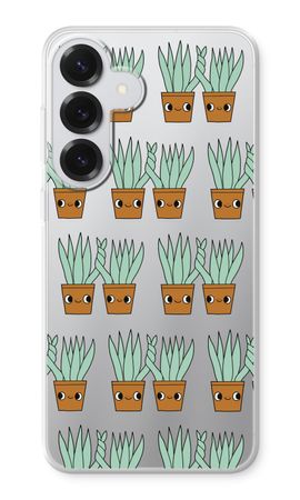 Sansevieria