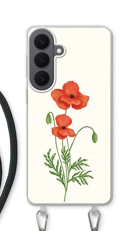 Red poppy