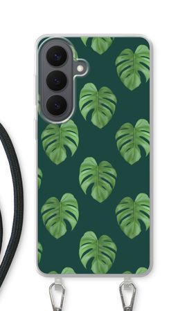 Monstera leaves