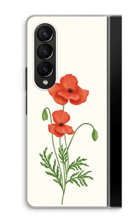 Red poppy