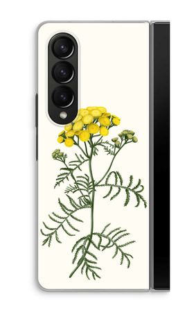 Tansy