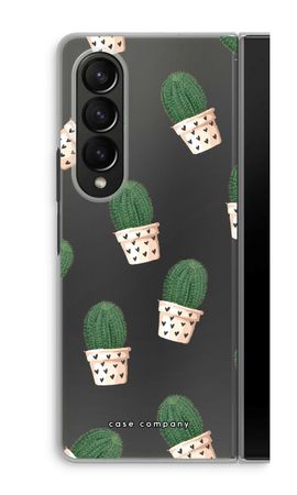 Cactus rose
