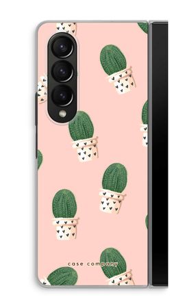Cactus rose