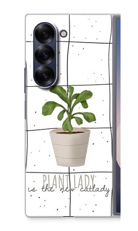 Houseplant on windowpane