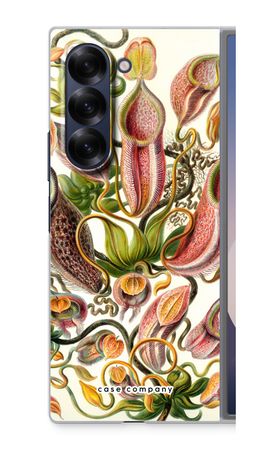 Haeckel Nepenthaceae