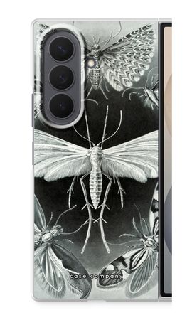 Haeckel Tineida