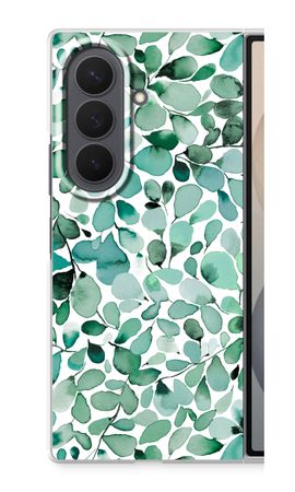 Eucalyptus à feuilles