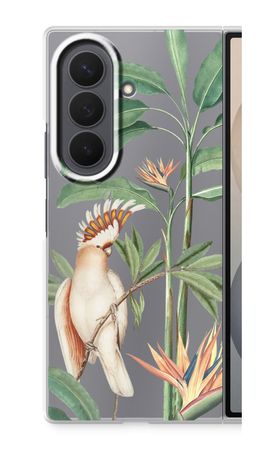 Tropical Parrot