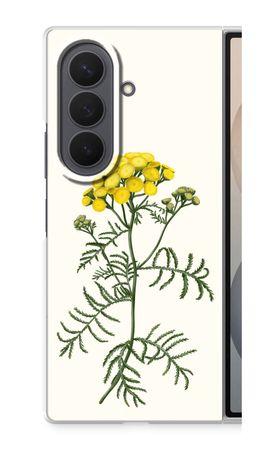 Tansy