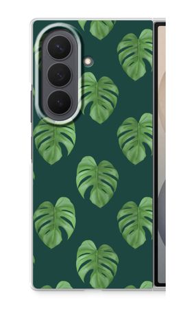 Monstera leaves