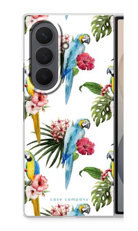 Colourful parrots