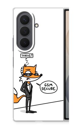 GSM secure