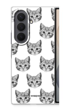 Kitten