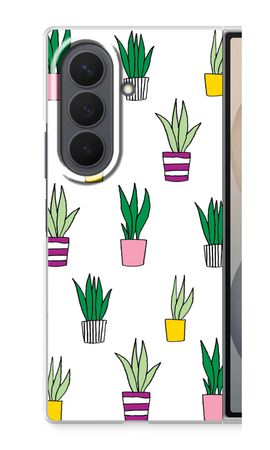Sanseveria