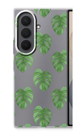 Monstera leaves