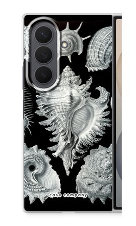 Haeckel Prosobranchia