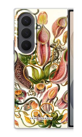 Haeckel Nepenthaceae