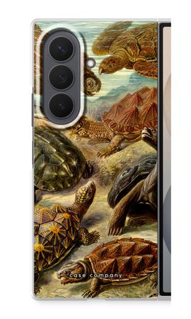 Haeckel Chelonia