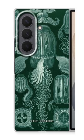 Haeckel Cubomedusae