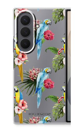 Colourful parrots