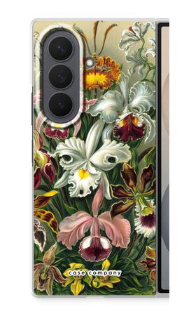 Haeckel Orchidae