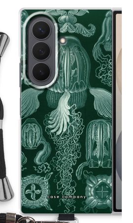 Haeckel Cubomedusae
