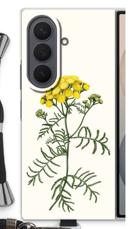 Tansy