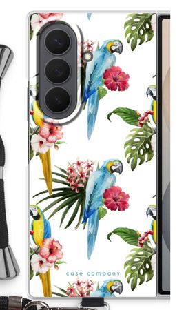 Colourful parrots