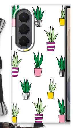 Sanseveria