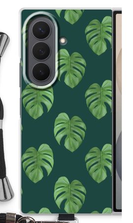 Monstera leaves