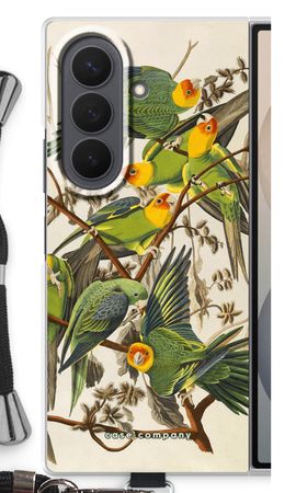 Carolina Parrot